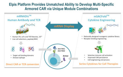 Discovery Platform - Elpis Biopharmaceuticals